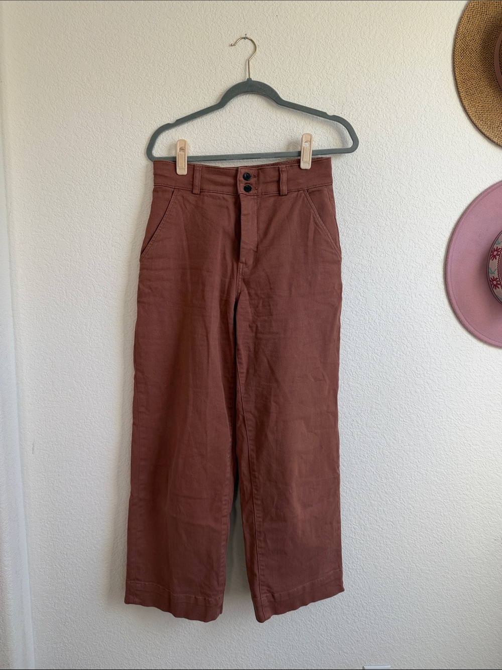Everlane Rust Pink Ankle Wide-Leg Pants
